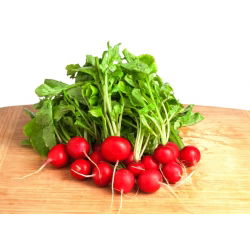Redkev "Cherry Belle" - 850 semen - Raphanus sativus L. - semena