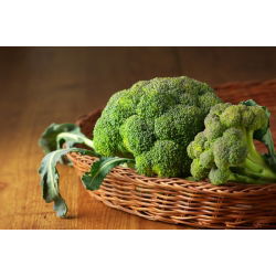 Spargelkapsas - Calabrese Natalino - 300 seemned - Brassica oleracea L. var. italica Plenck