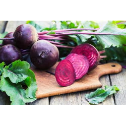 Pancar "Betina" - 500 tohumlar - Beta vulgaris