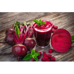 Pancar "Betina" - 500 tohumlar - Beta vulgaris
