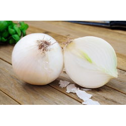 Cipolla - Avalon - Bianco succoso, perfetto per lunga conservazione - Semi Freschi