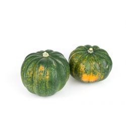 Ты́ква гига́нтская - Olga - 15 семена - Cucurbita pepo