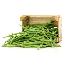 Brechbohne 'Saxa' - Grüne - 500 g 