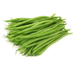 Brechbohne 'Saxa' - Grüne - 500 g 
