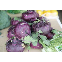 Koleraba "Delicious Blue" - 520 sjemenki - Brassica oleracea var. Gongylodes L. - sjemenke