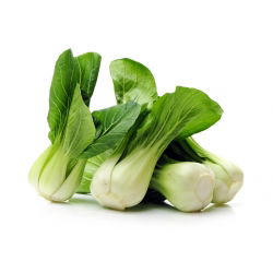 Pak Choi -   - Hojas tiernas y crujientes, excelentes para muchos platos - Semillas frescas
