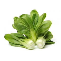 Pak Choi -   - Hojas tiernas y crujientes, excelentes para muchos platos - Semillas frescas