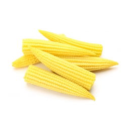 Tatlı mısır "Minigold"; Şekerli mısır, Kutuplu mısır - Zea mays convar. saccharata var. Rugosa - tohumlar