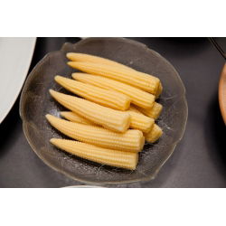 Tatlı mısır "Minigold"; Şekerli mısır, Kutuplu mısır - Zea mays convar. saccharata var. Rugosa - tohumlar