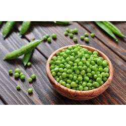 Pisello - Sześciotygodniowy - 500 g - Resistente alle malattie, raccolto rapido - Semi Freschi