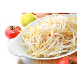 Sprouts - zaden - Gewone boon - Mung - 250g - 5250 zaden - Phaseolus aureus