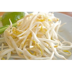 Sprouts - zaden - Gewone boon - Mung - 250g - 5250 zaden - Phaseolus aureus