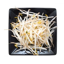 Sprouts - zaden - Gewone boon - Mung - 250g - 5250 zaden - Phaseolus aureus