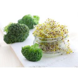 Graine De Brocoli Bio A Germer - 125g. Pour La Germination Du Brocoli