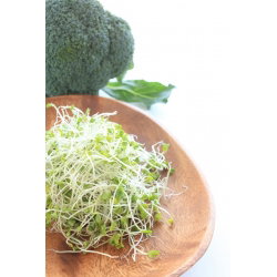Graines De Brocoli Bio à Germer - 125g, Pour Faire Des Pousses Riches En Vitamines A, B, C, E, Antioxydants, à La Maison