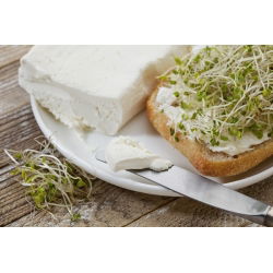 Kiemen van zaden - broccoli - 100 g - 30000 zaden - 