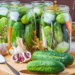Kurkku - Sremski F1 - 100 grammaa - 3500 siemenet - Cucumis sativus