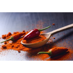 พริกไทยร้อน "Yvona" - แนะนำสำหรับการเพาะปลูกที่ระเบียง - Capsicum L. - เมล็ด