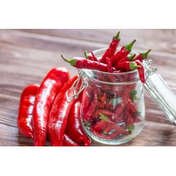 Перець "Посейдон" - гарячий - 70 насінин - Capsicum L. - насіння