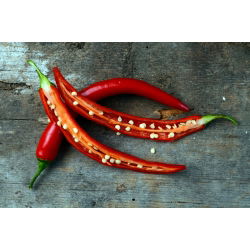 Перець "Посейдон" - гарячий - 70 насінин - Capsicum L. - насіння