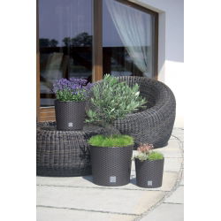 Pot bunga pusingan - Rato - 20 cm - Putih - 