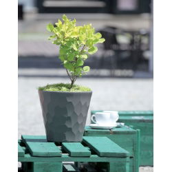 Vaso di fiori rotondo - Rocka - 35 cm - Mocca - 