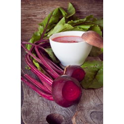 Pancar "Kırmızı Top" - 100 gr - 5000 tohum - Beta vulgaris L. - tohumlar