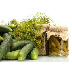 Taman Dill "Emerald" - 100 g - 65000 biji - Anethum graveolens L. - benih