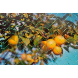Fuglenet 5 x 2 m - 