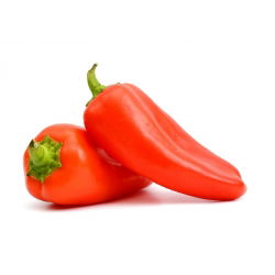 Ardei - Corno di toro rosso - Fructe dulci și suculente, excepționale - Semințe proaspete