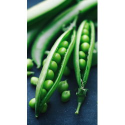 Pisello a grano rugoso - Ambrosia - Dolce, tenero, maturazione precoce - Semi Freschi
