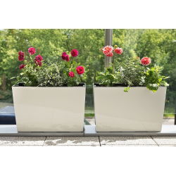 Fioriera / fioriera "Werbena" - 19 x 56 cm - bianco crema - 