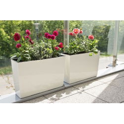 Fioriera / fioriera "Werbena" - 19 x 56 cm - bianco crema - 