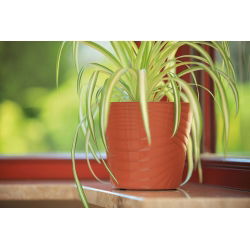 "Capri" runder Topfmantel - 28 cm - terrakottafarben - 