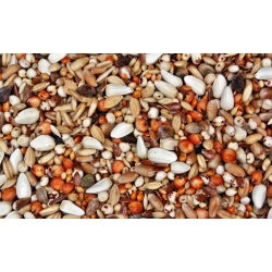 Mix di legumi e foraggio per l'affioramento - 1 kg -  - semi