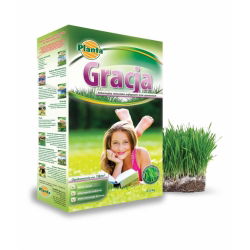 Gracja - hỗn hợp hạt giống cỏ có giá trị trang trí cao từ Planta - 2 kg - 