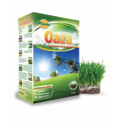 Oazė (Oaza) - vejos sėklų mišinys sausoms ir saulėtoms vietoms - Planta - 5 kg - 