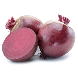 BIO - Pancar "Detroit 2" - sertifikalı organik tohumlar - 500 tohum - Beta vulgaris var. conditiva 