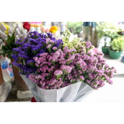 Statice sinuata - Rosa - Limonium sinuatum - Ideale per bouquet freschi e secchi - Semi Freschi