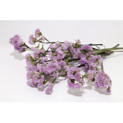 Statice sinuata - Rosa - Limonium sinuatum - Ideale per bouquet freschi e secchi - Semi Freschi