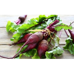 Punapeet - Opolski - seemnelint - Beta vulgaris var. Conditiva - seemned