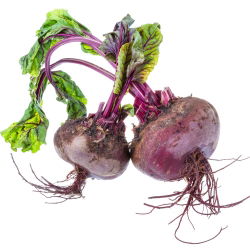 甜菜根“Egipski” -  100克种子 -  5000粒种子 - Beta vulgaris L. - 種子