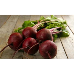Pancar "Koyu Kırmızı Top" - 100 gr tohum - 5000 tohum - Beta vulgaris L. - tohumlar