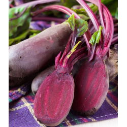 Beetroot "Rival" - 100 g of seeds - 10000 seeds