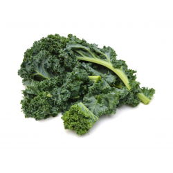 Kale "Halbhoher grüner krauser" - 50 g hạt - 15000 hạt - Brassica oleracea L. var. sabellica L.