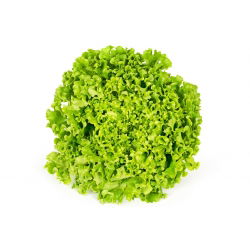 Маруля "Рекорд" - набраздени листа - 900 семена - Lactuca sativa var. foliosa 