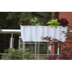 Balkongeländer-Box "Crown" - weiß - 58 cm - 