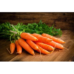 Морква "Succes" - пізній, зберігається сорт - 4250 насіння - Daucus carota ssp. sativus 