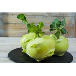 Koleraba "Luna" - bijela sorta za ranu berbu - 260 sjemenki - Brassica oleracea var. Gongylodes L. - sjemenke