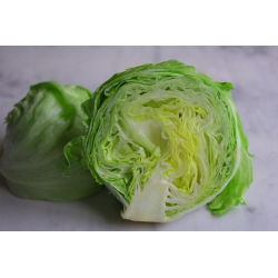 Ledena salata "Doree de Printemps" - hrskava, velike glave - 400 sjemenki - Lactuca sativa L.  - sjemenke
